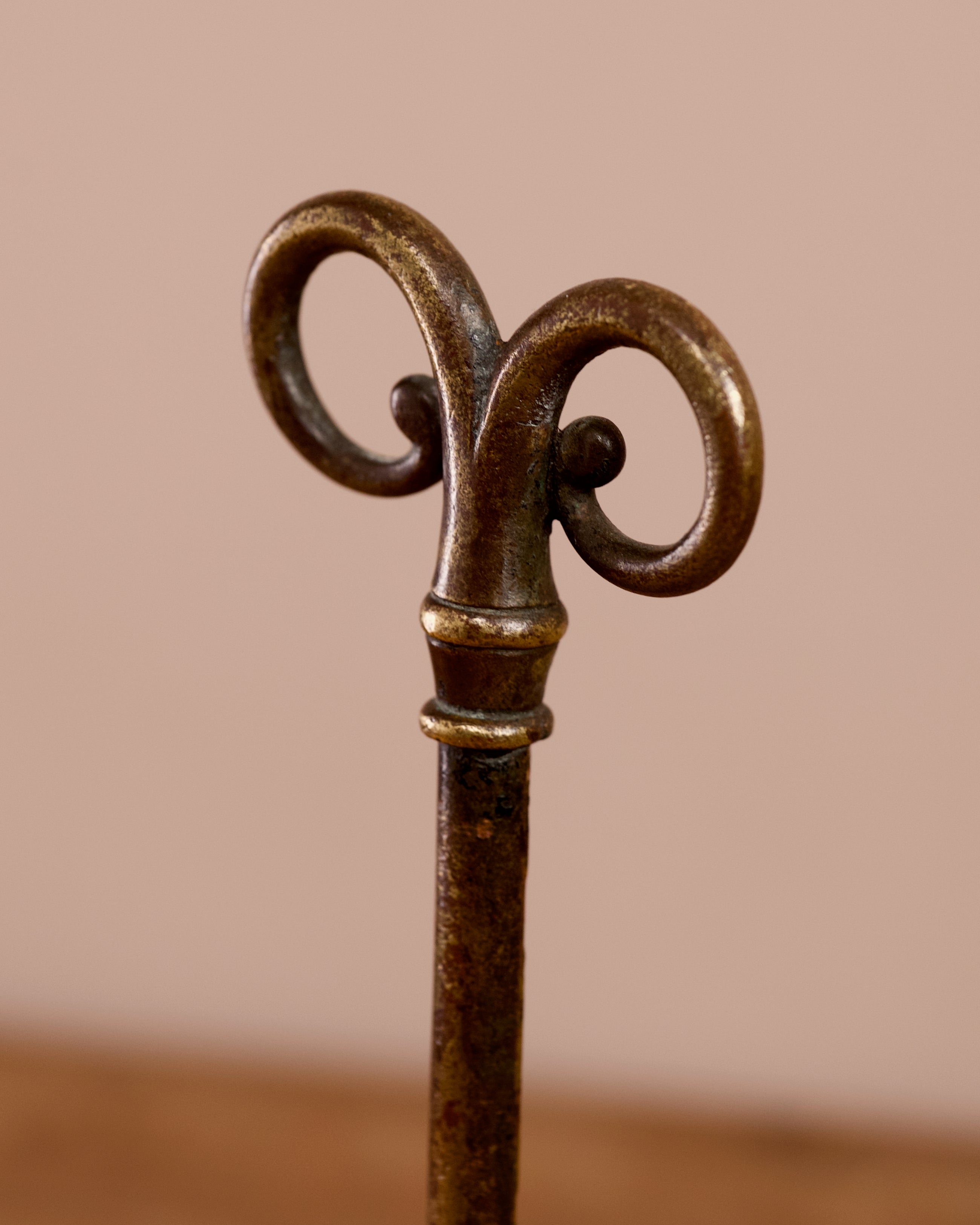 FOUND | Brass Door Porter