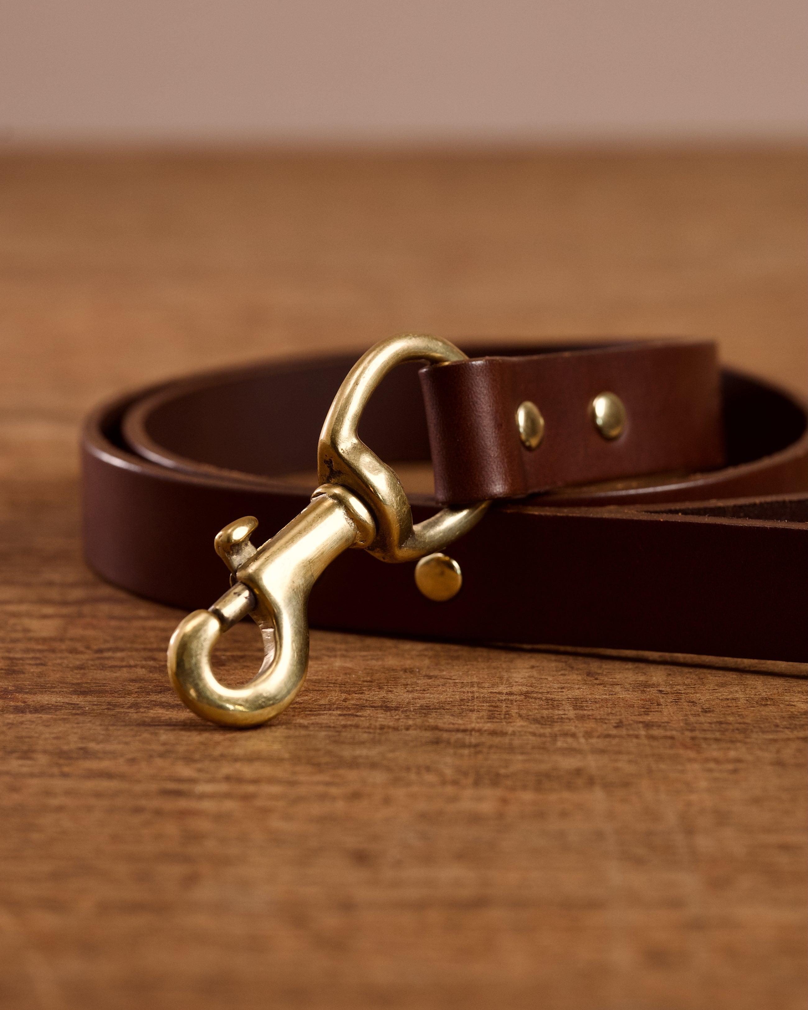 Leather Dog Lead