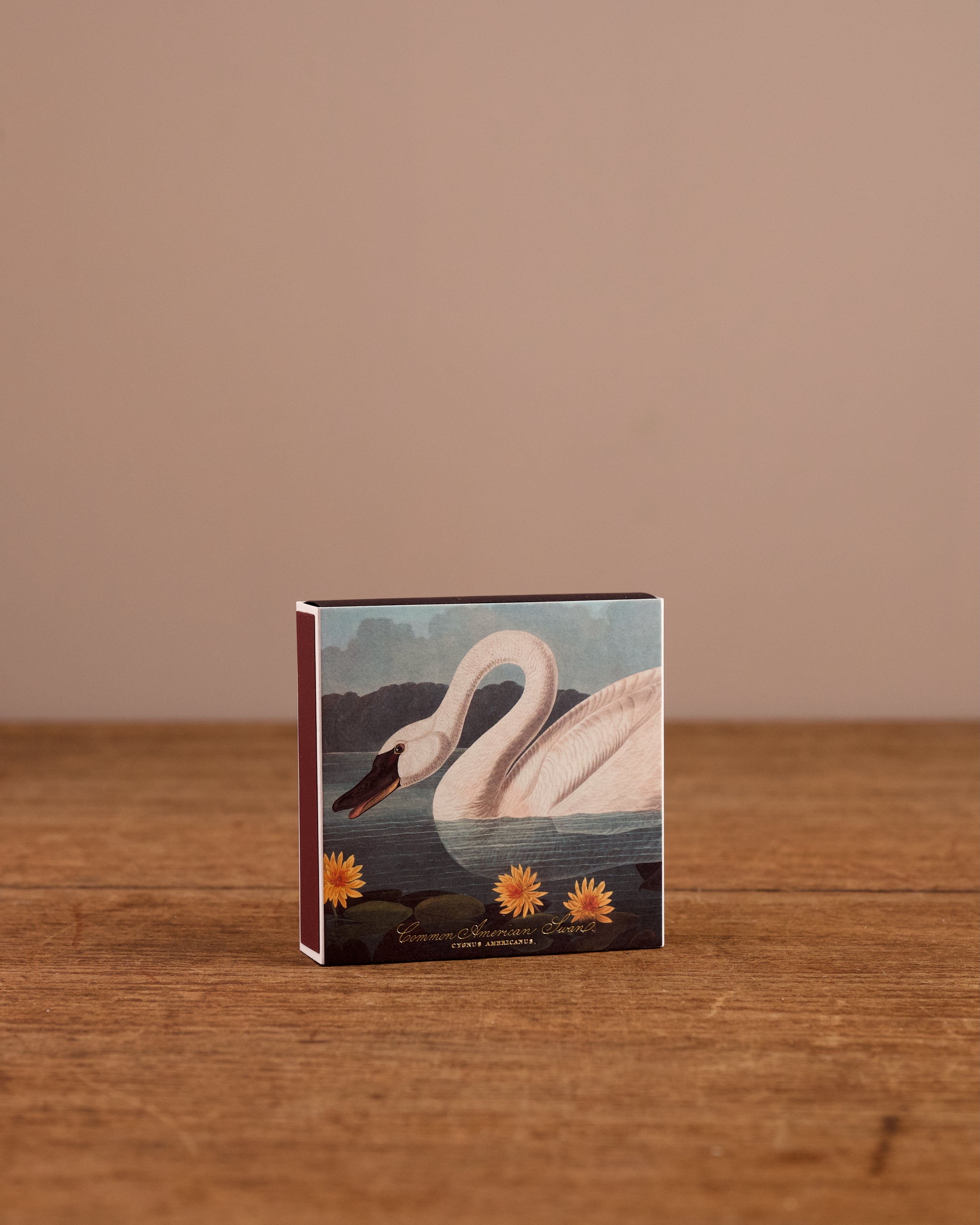 Birds of America Matches