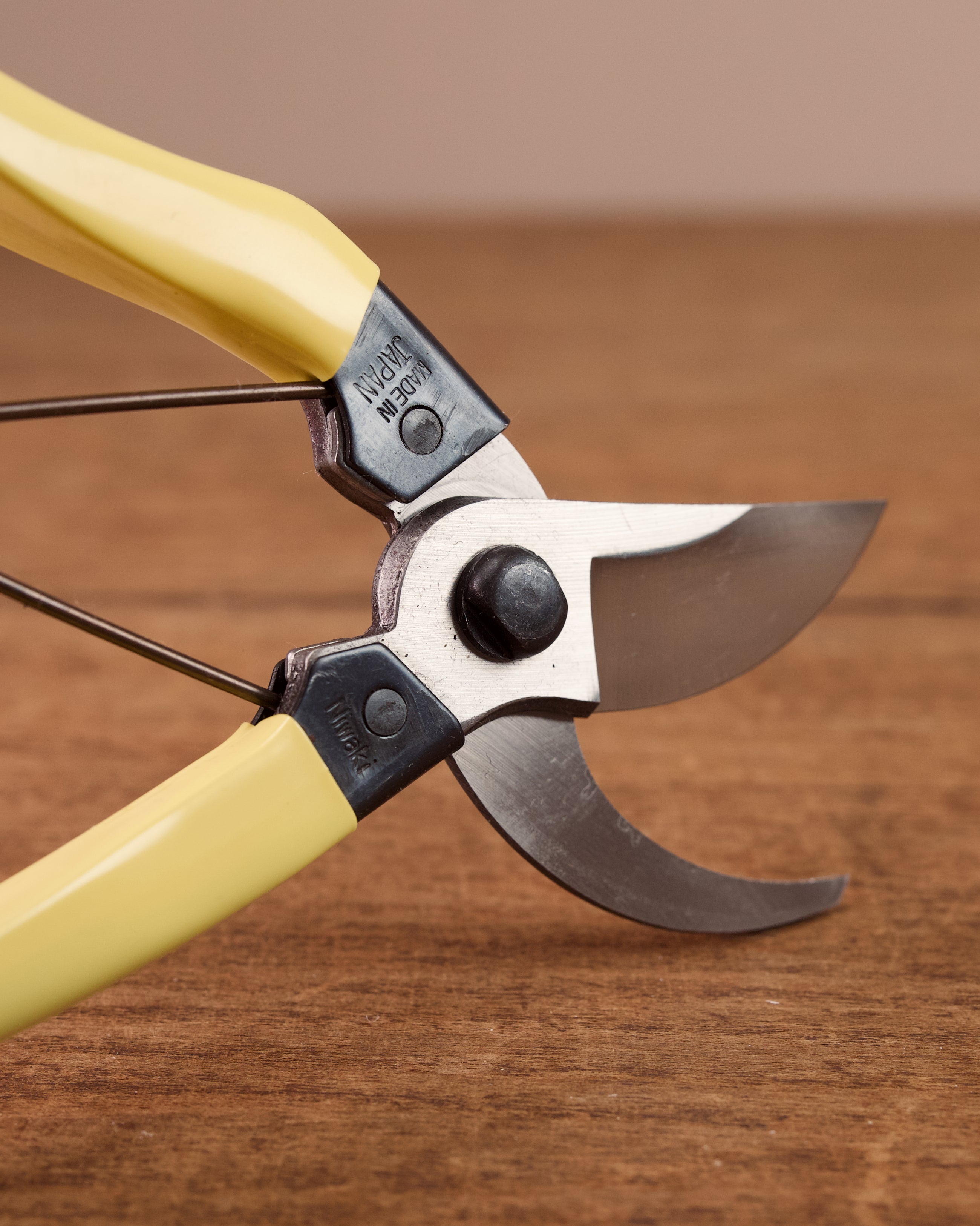 Secateurs