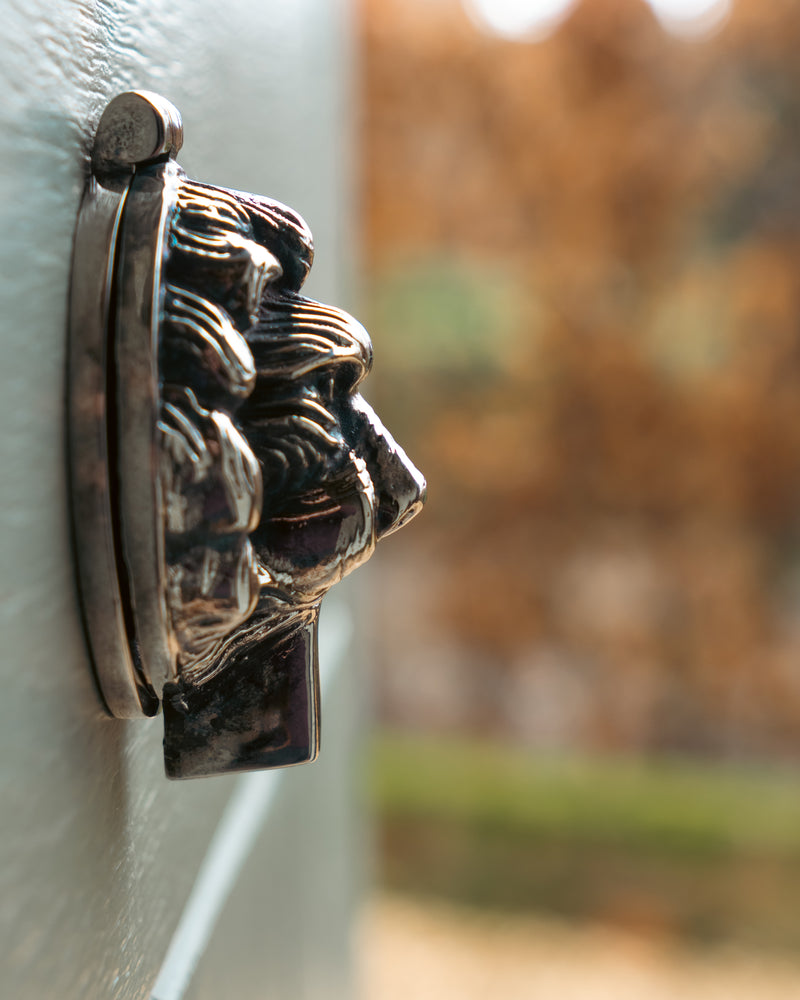 Decorative keyhole cover shaped like a lion's head on a white door with a blurred outdoor background.