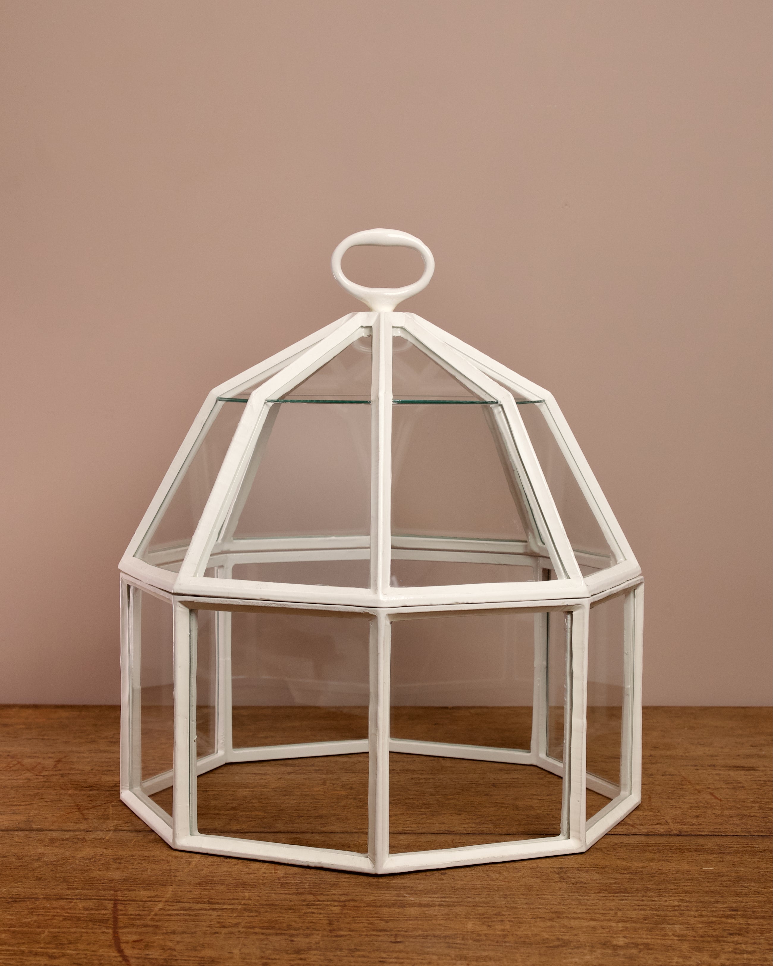 Octagonal glazed garden cloche