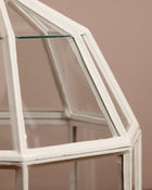 Octagonal Garden Cloche