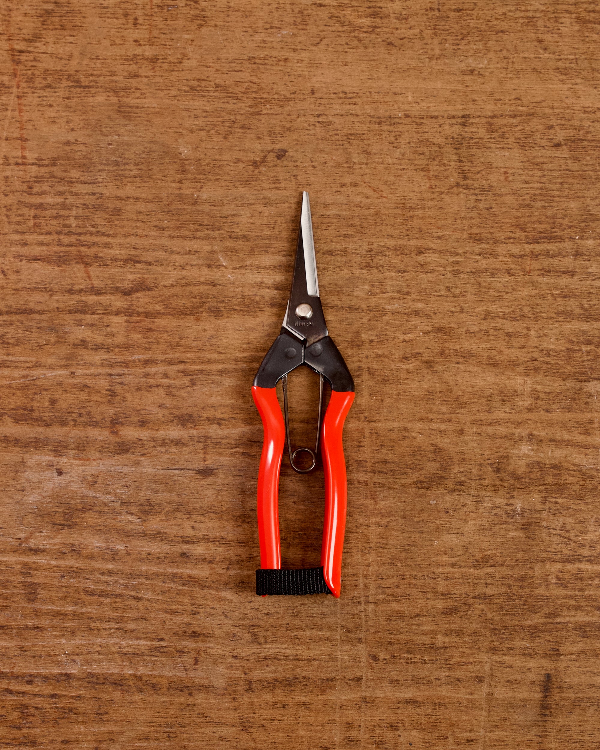 Garden Snips