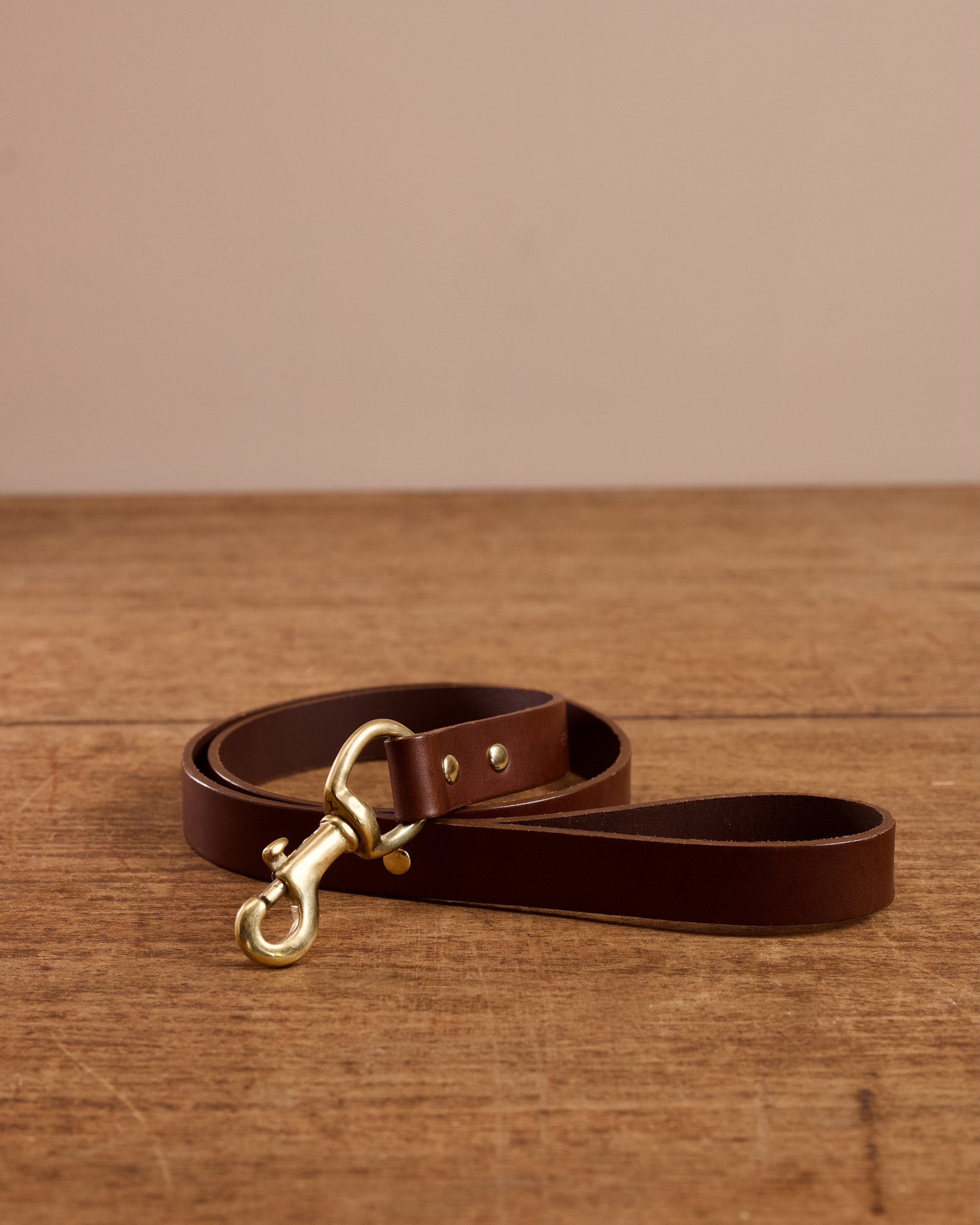 Leather Dog Lead