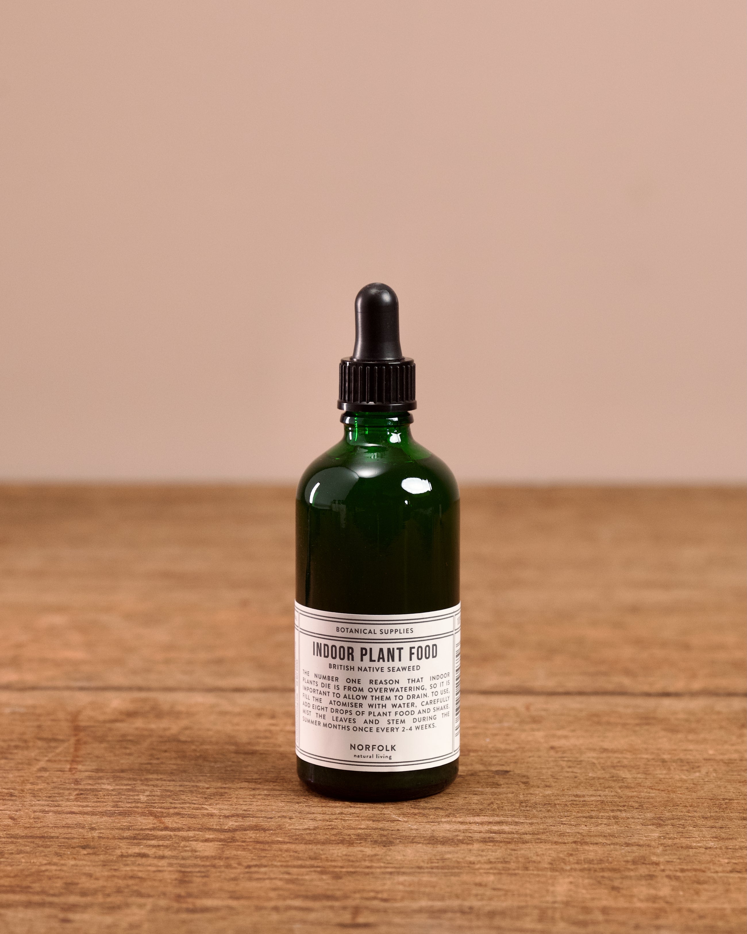 Natural Indoor Plant Care