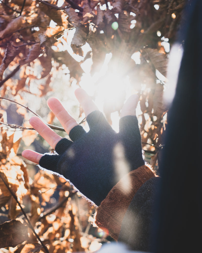 Hand wearing a blue glove reaching towards the sun through trees