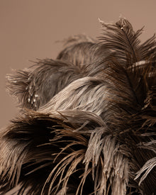 Close-up of a feathered object with a brown background