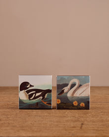 Birds of America Matches