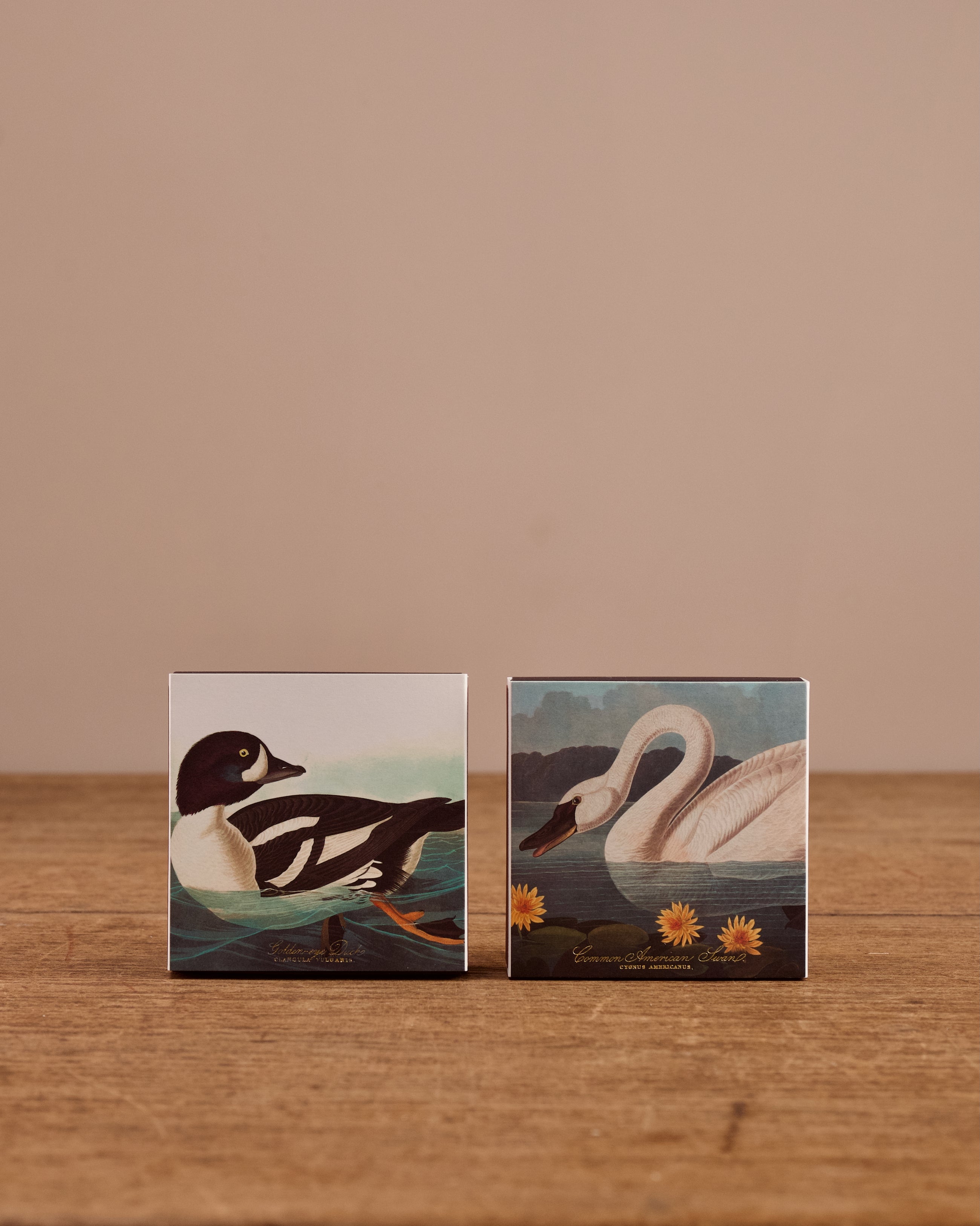 Birds of America Matches