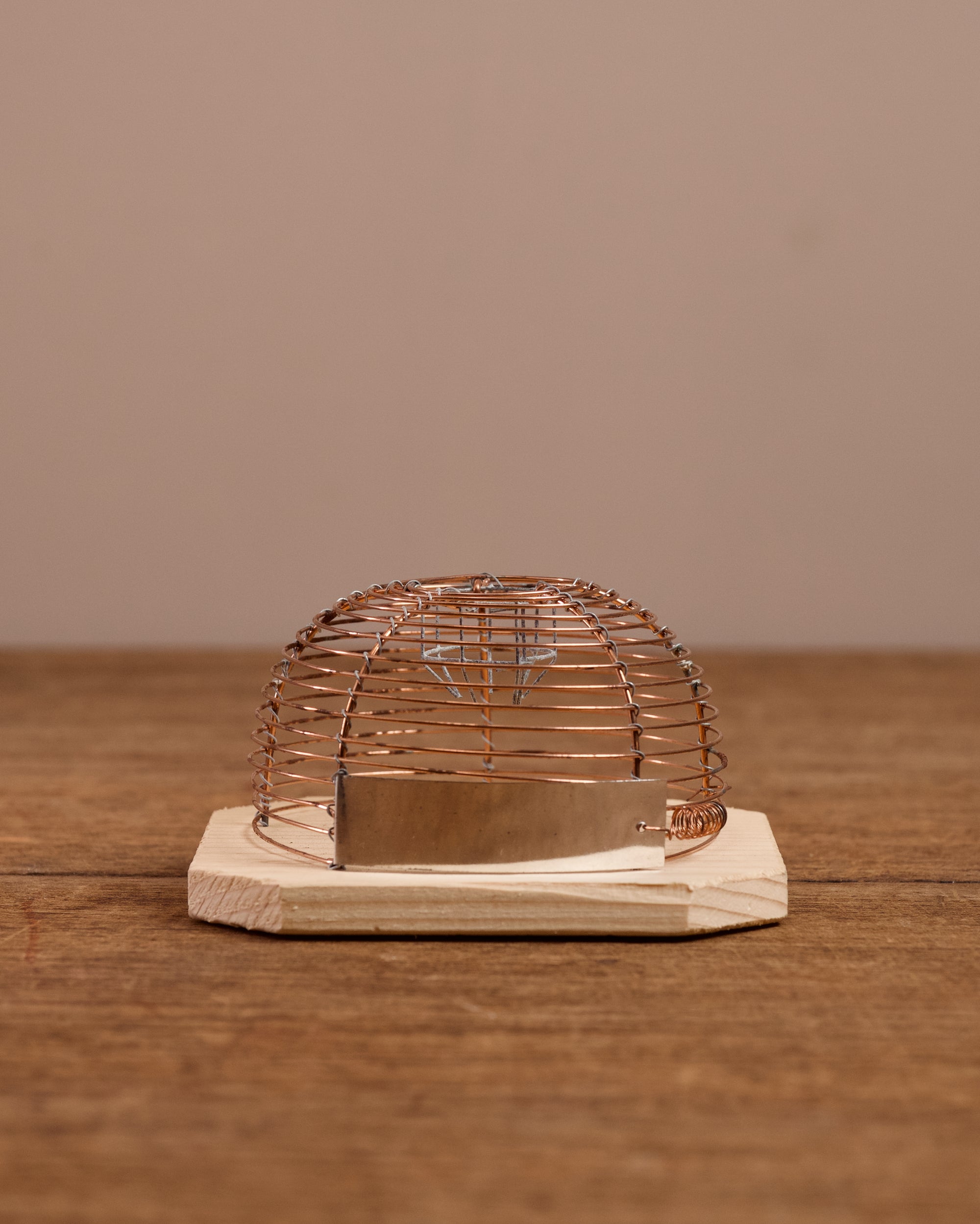 Wire cage mouse trap on a wooden base against a brown background