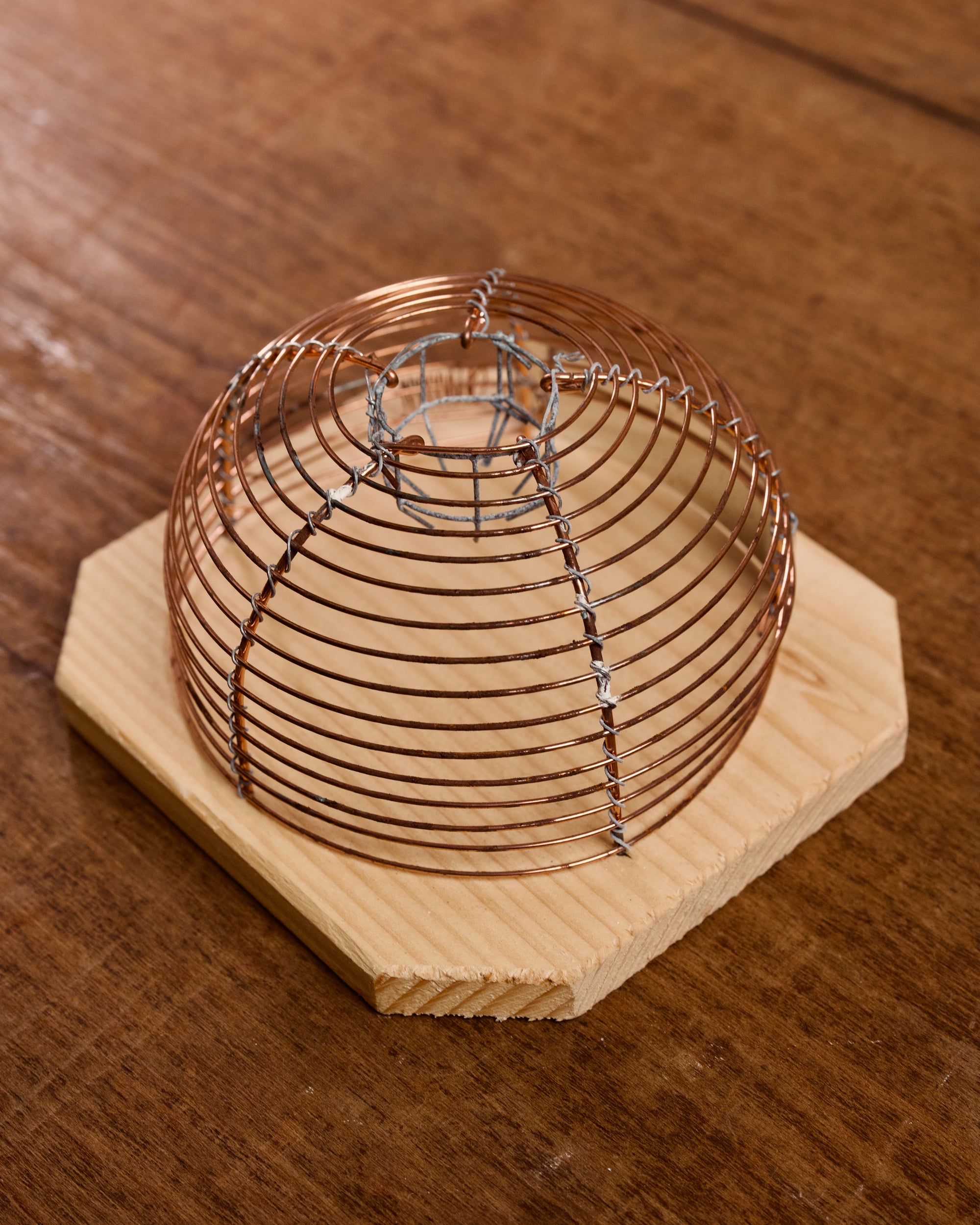 Lobster pot style humane mouse trap on a wooden base