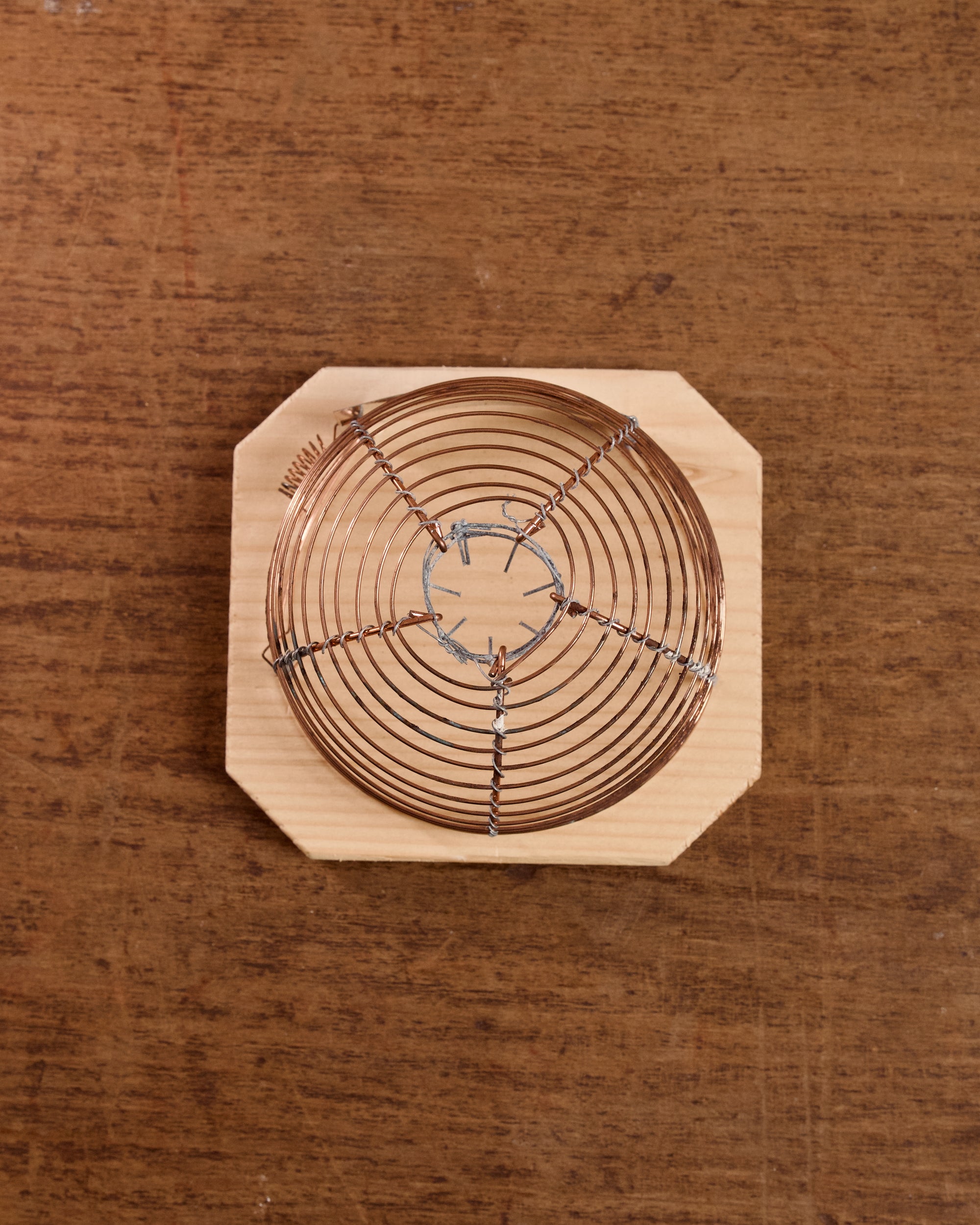 Lobster pot style humane mouse trap