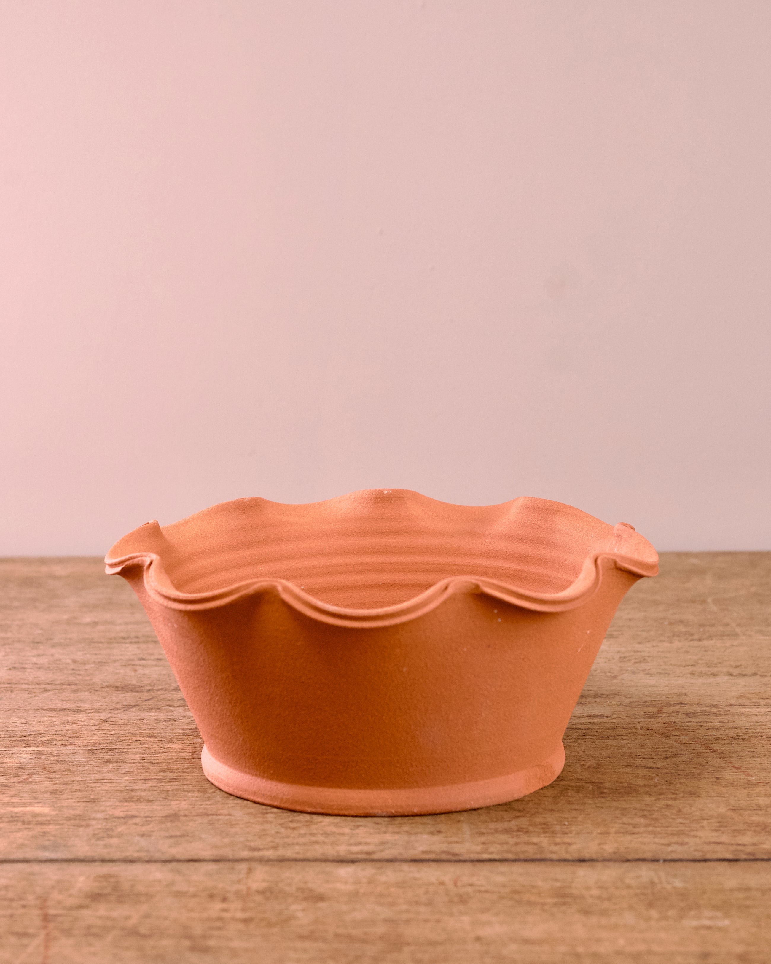 Terracotta planter with scalloped edge on a wooden surface
