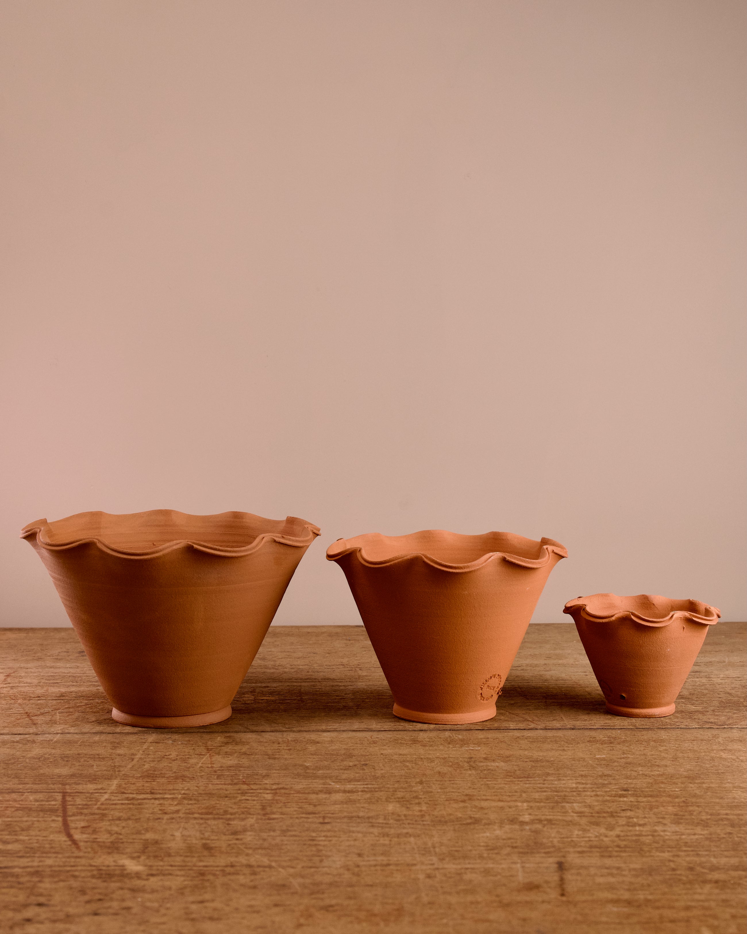 Scalloped Terracotta Pot