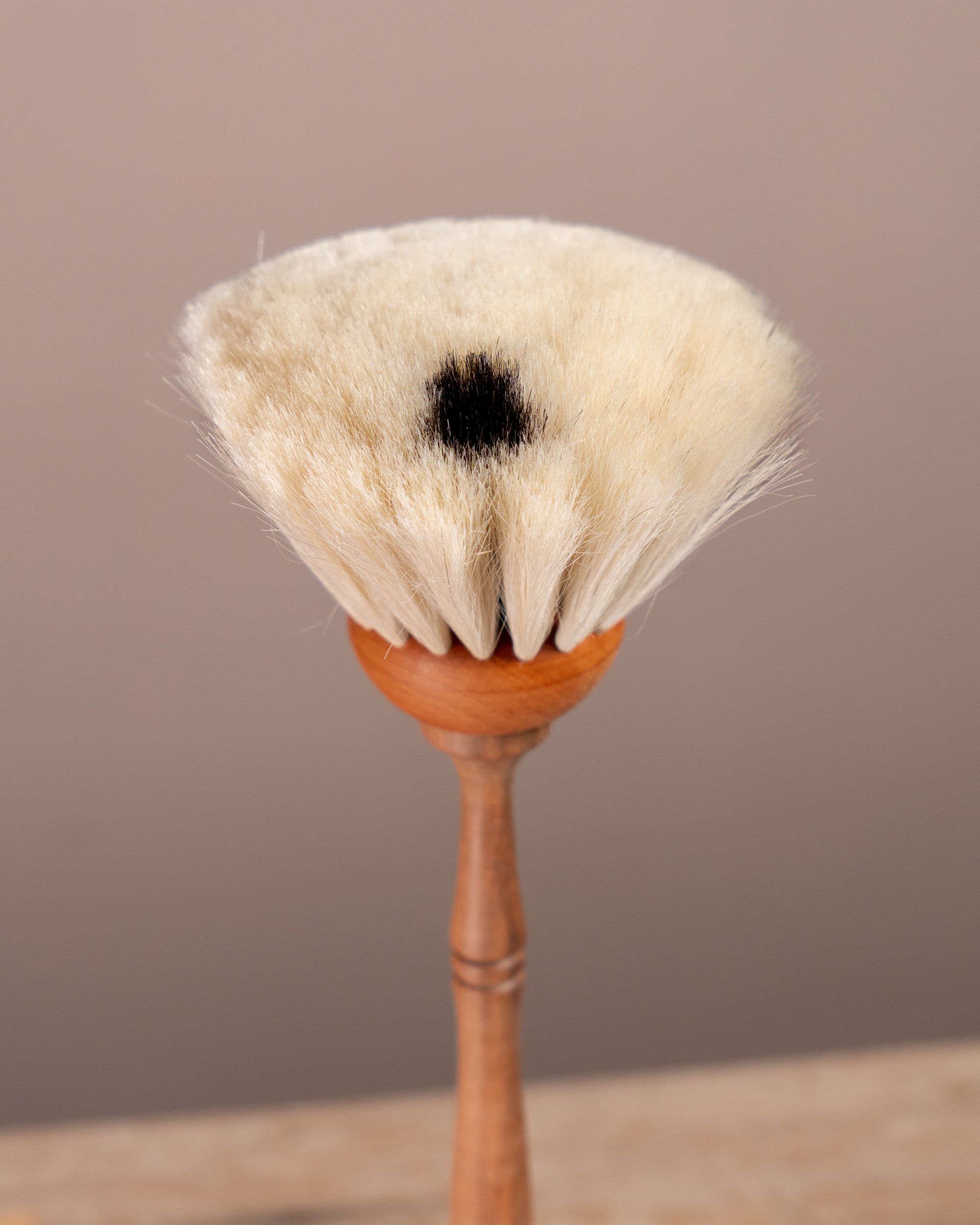 Spot Dust Brush