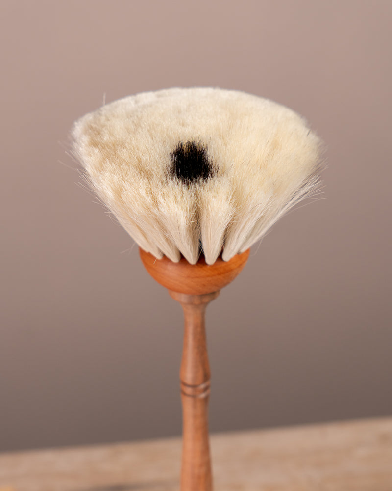Spot Dust Brush