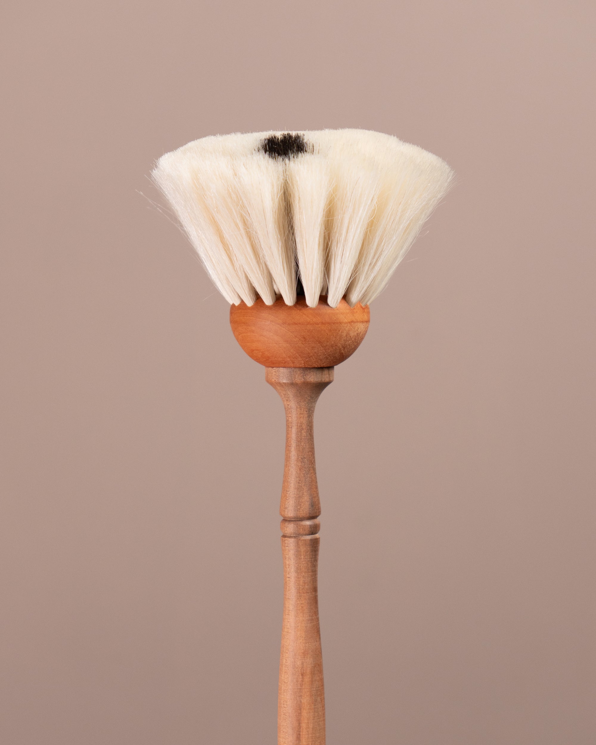 Spot Dust Brush