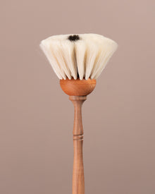 Spot Dust Brush