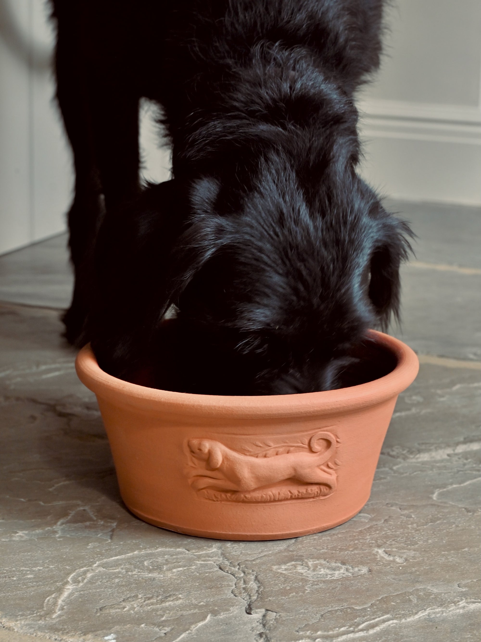 Terracotta Dog Bowl