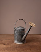 Vintage metal watering can on a wooden surface with a brown background