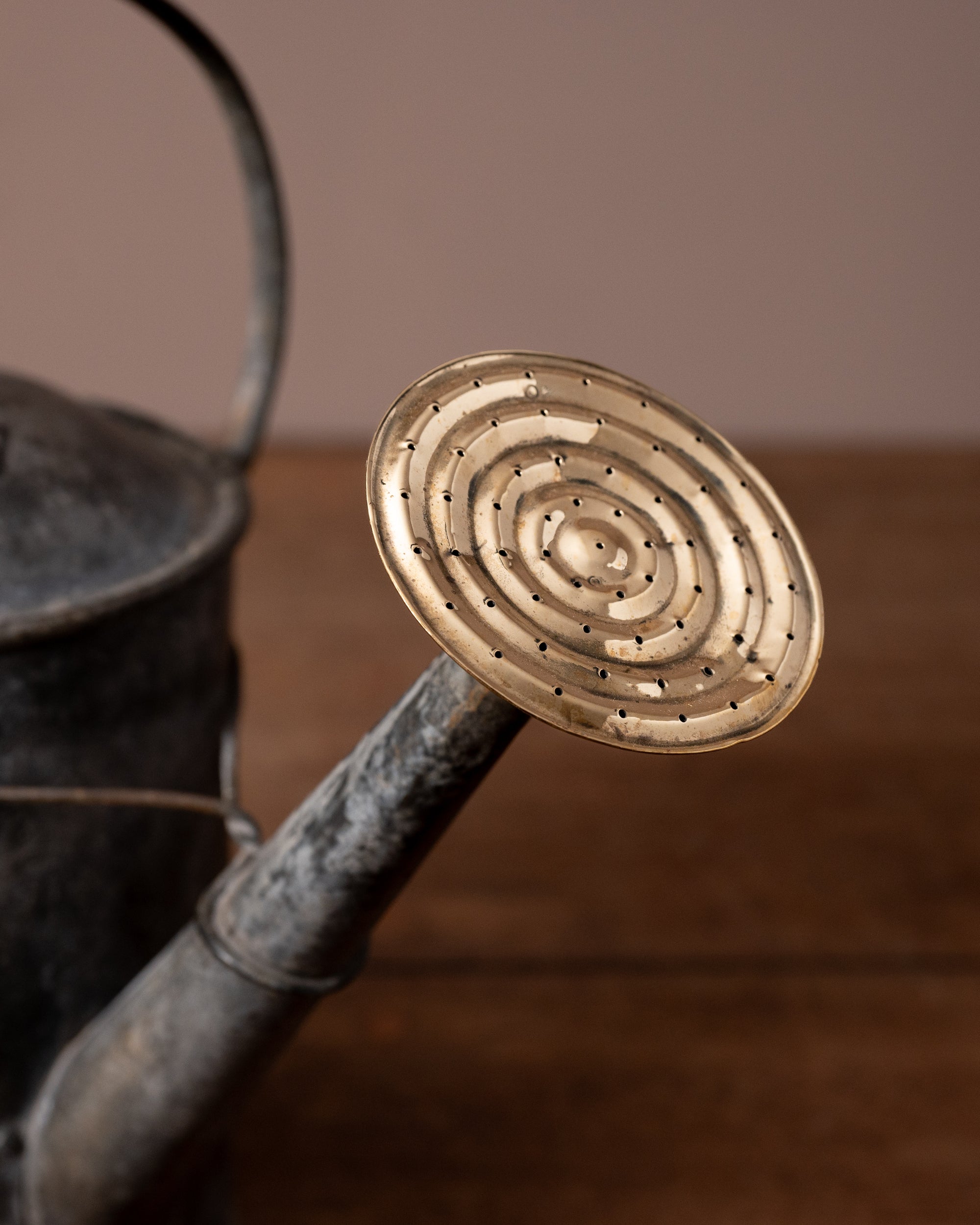 Close-up of a copper rose for a watering can